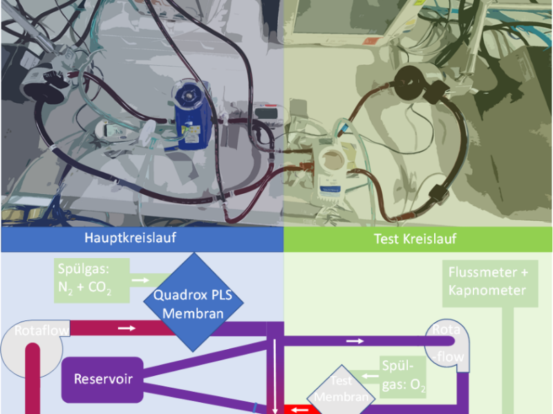 ECCO2R und ECMO Modelle