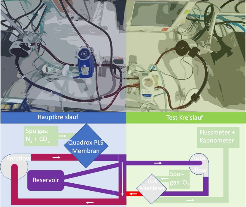 ECCO2R und ECMO Modelle