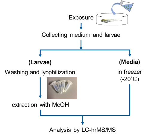 Identifizierung von Metaboliten