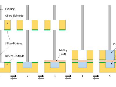 Permeation Humanhaut zur Entwicklung und Qualitätskontrolle von lokal applizierten Arzneimitteln