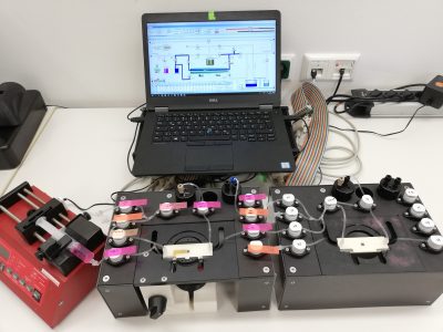 Multimodulare Screening-Plattform zur Sicherheitsbewertung von (Nano) Materialien